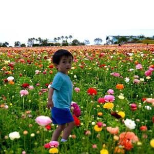 Meet your Posher, Ia lee